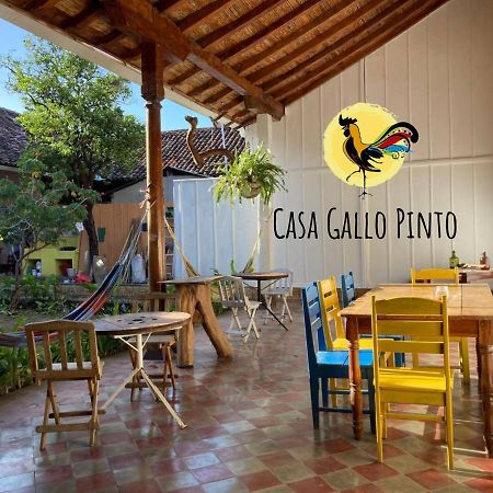 Casa Gallo Pinto غرناطة المظهر الخارجي الصورة