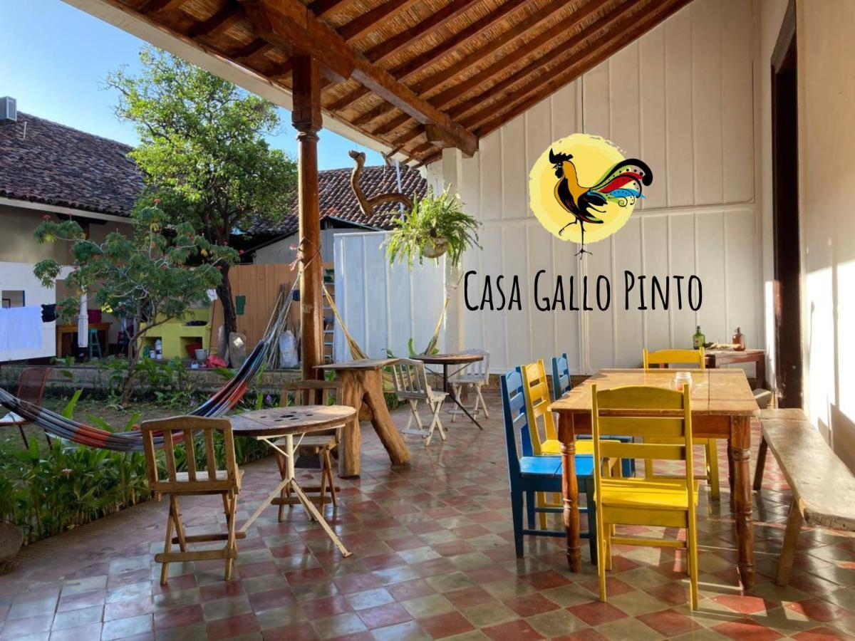 Casa Gallo Pinto غرناطة المظهر الخارجي الصورة