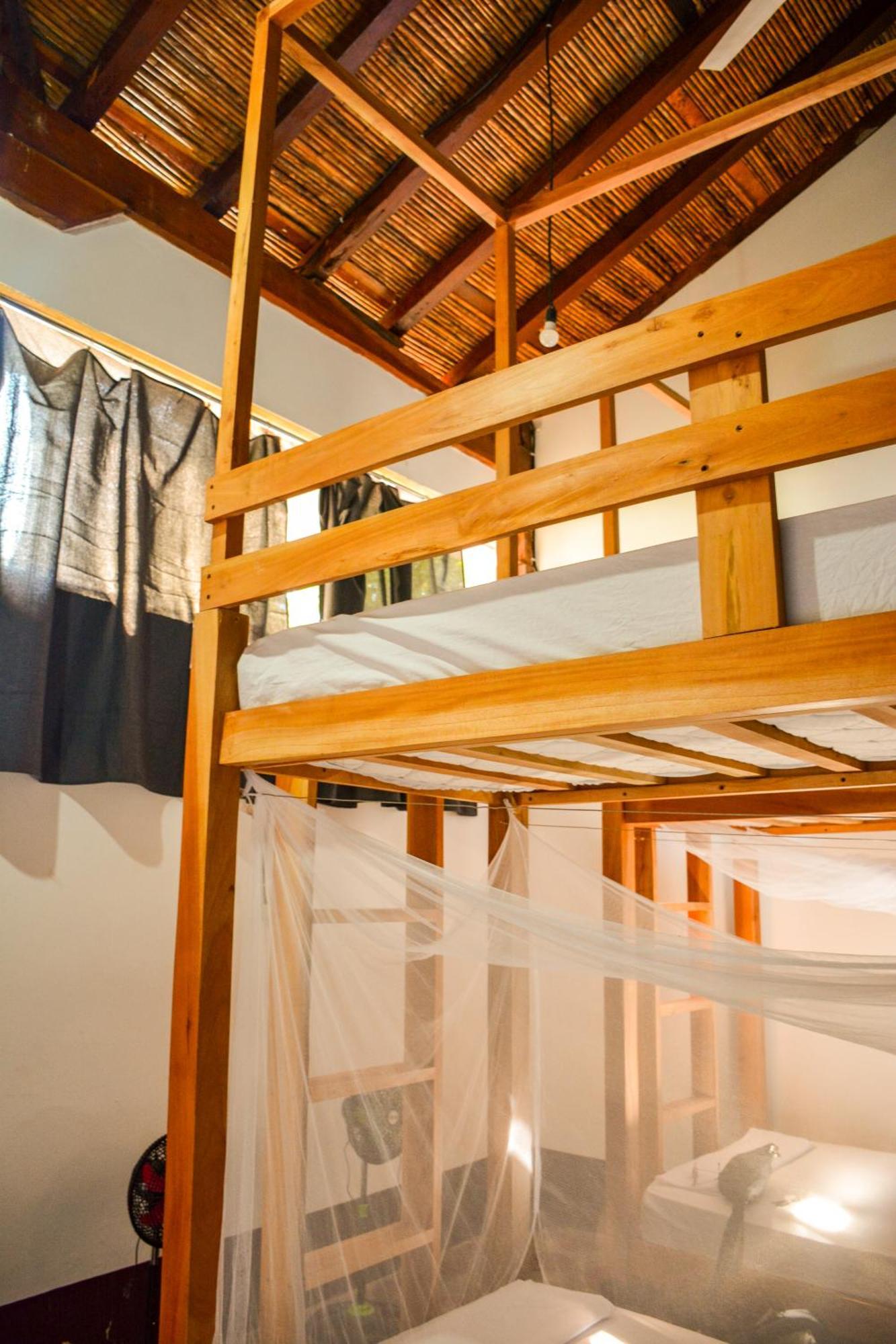 Casa Gallo Pinto غرناطة المظهر الخارجي الصورة