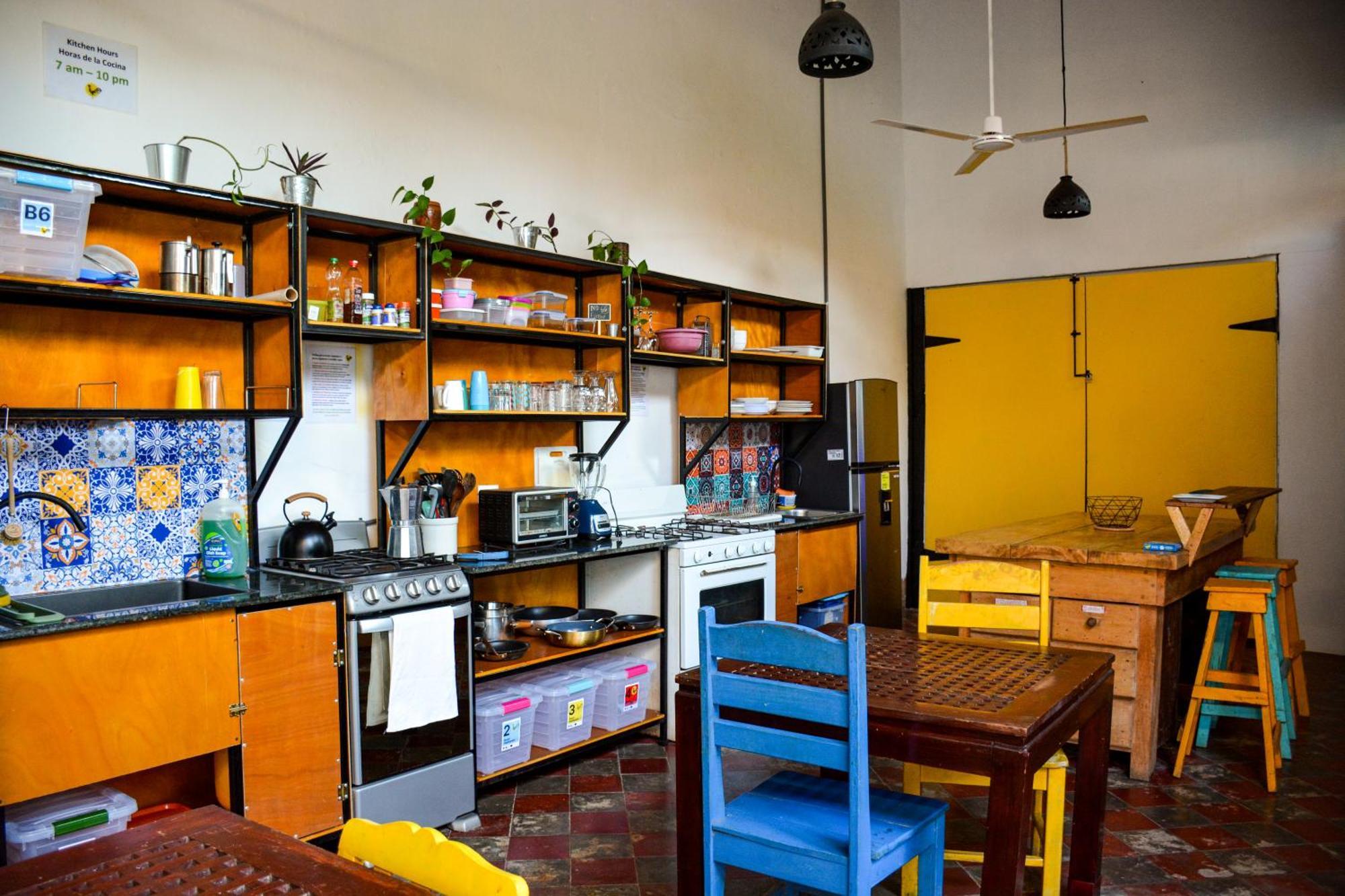 Casa Gallo Pinto غرناطة المظهر الخارجي الصورة