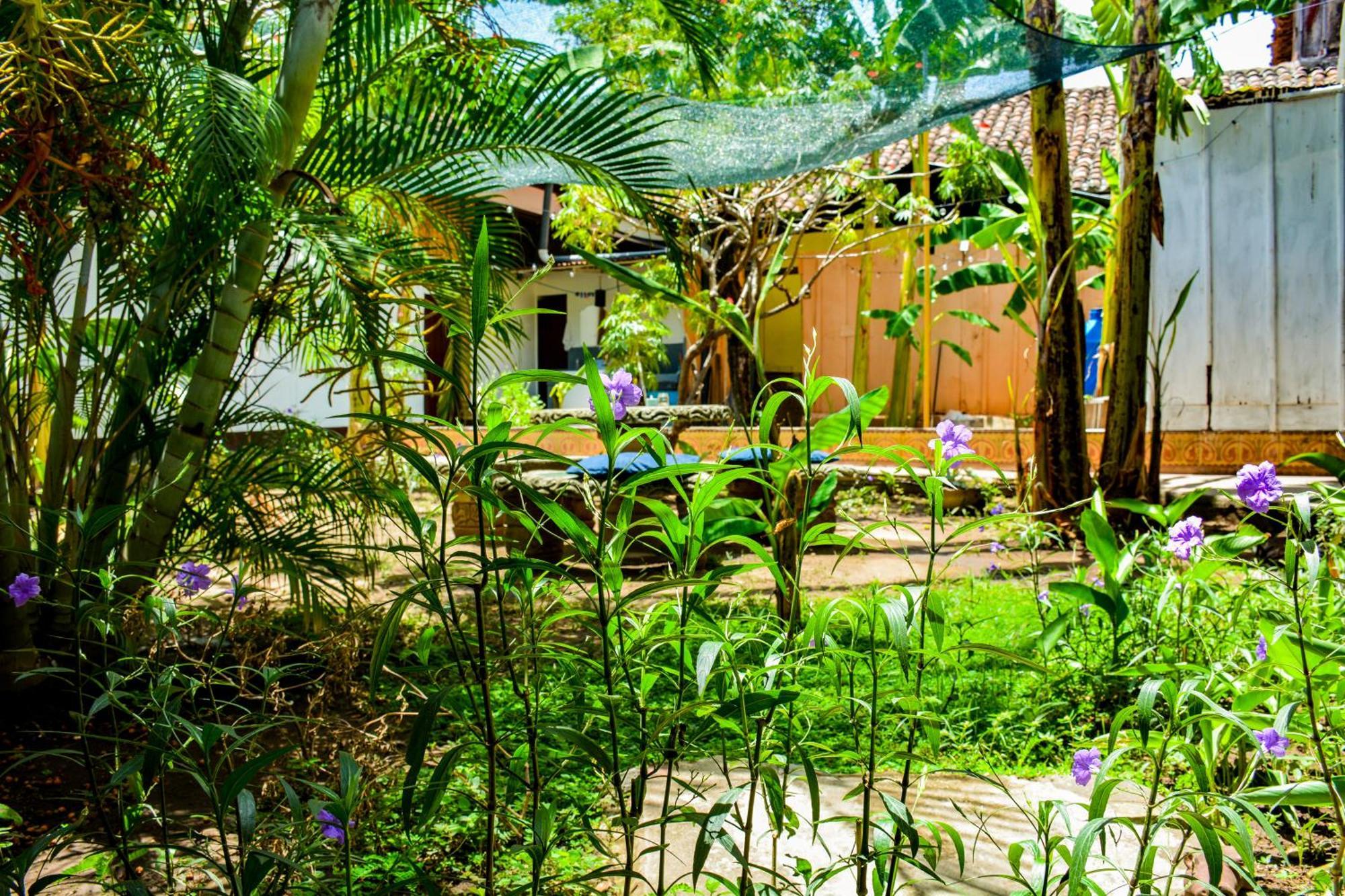 Casa Gallo Pinto غرناطة المظهر الخارجي الصورة